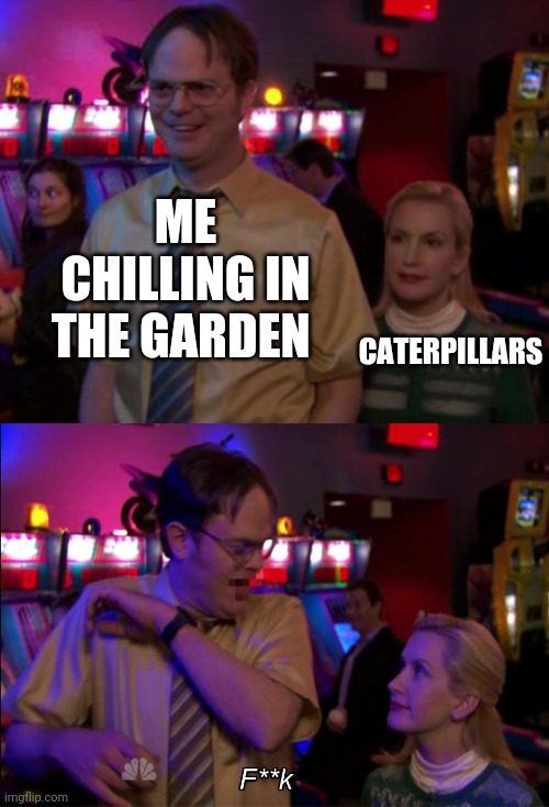 They're everywhere and they're so big | ME CHILLING IN THE GARDEN; CATERPILLARS | image tagged in angela scared dwight,stop reading the tags,why are you reading this,stop,memes,hows ur day going | made w/ Imgflip meme maker