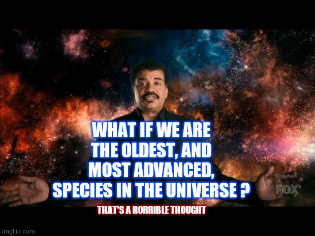Sinking Feeling | WHAT IF WE ARE THE OLDEST, AND MOST ADVANCED, SPECIES IN THE UNIVERSE ? THAT'S A HORRIBLE THOUGHT | image tagged in neil degrasse tyson stuff universe,memes,cosmos,sinking feeling,it's enough to make a grown man cry,ugh | made w/ Imgflip meme maker
