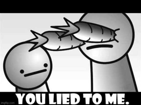 You lied to me. | image tagged in you lied to me | made w/ Imgflip meme maker