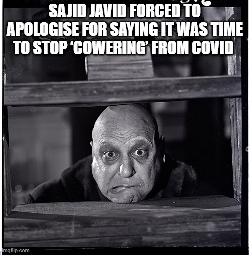 sajid says | SAJID JAVID FORCED TO APOLOGISE FOR SAYING IT WAS TIME TO STOP ‘COWERING’ FROM COVID | image tagged in sajid javid,is an idiot | made w/ Imgflip meme maker