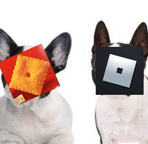 Similar Dogs | image tagged in similar dogs | made w/ Imgflip meme maker