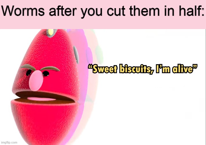 "Sweet Biscuits, i'm alive" | Worms after you cut them in half: | image tagged in memes,worm,worms,sweet biscuits i'm alive | made w/ Imgflip meme maker