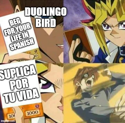 I begged for my life in spanish, can i go now |  DUOLINGO BIRD; BEG FOR YOUR LIFE IN SPANISH; SUPLICA POR TU VIDA | image tagged in yu gi oh,dank memes,funny | made w/ Imgflip meme maker