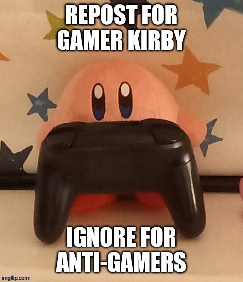 image tagged in kirby,gamer,anti gamer | made w/ Imgflip meme maker