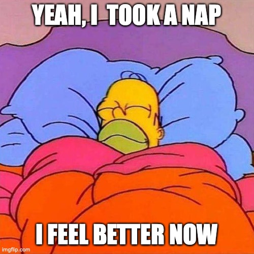 Homer Napping | YEAH, I  TOOK A NAP I FEEL BETTER NOW | image tagged in homer napping | made w/ Imgflip meme maker