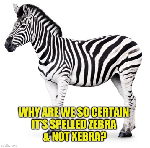 X is for Xenon, Xylophone, Xebra | WHY ARE WE SO CERTAIN 
IT’S SPELLED ZEBRA 
& NOT XEBRA? | image tagged in zebra,spelling,xebra | made w/ Imgflip meme maker