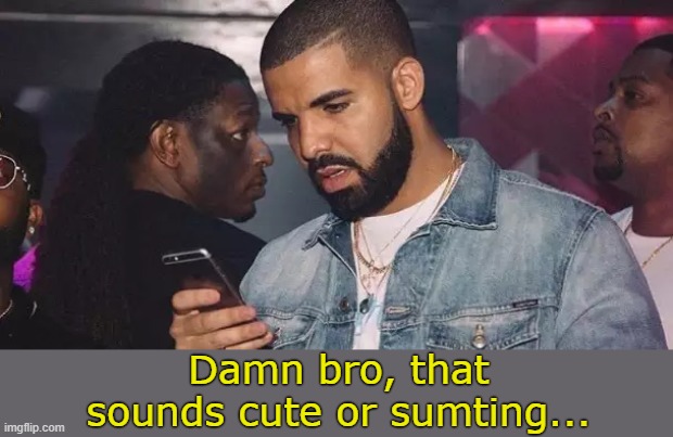 . | image tagged in drake damn bro that sounds cute or sumting | made w/ Imgflip meme maker