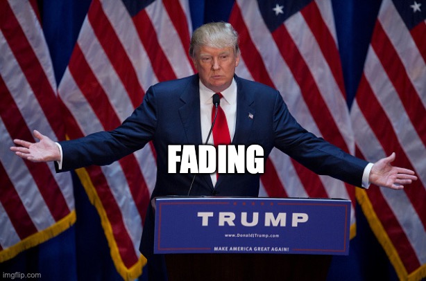 Donald Trump | FADING | image tagged in donald trump | made w/ Imgflip meme maker
