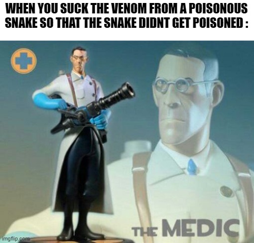 The medic tf2 | WHEN YOU SUCK THE VENOM FROM A POISONOUS SNAKE SO THAT THE SNAKE DIDNT GET POISONED : | image tagged in the medic tf2 | made w/ Imgflip meme maker