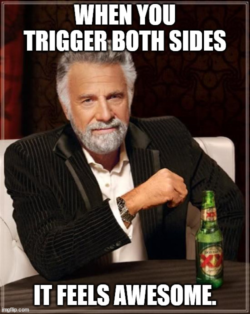 It really does feel awesome. | WHEN YOU TRIGGER BOTH SIDES; IT FEELS AWESOME. | image tagged in memes,the most interesting man in the world | made w/ Imgflip meme maker