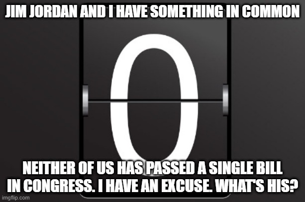 Zero counter | JIM JORDAN AND I HAVE SOMETHING IN COMMON; NEITHER OF US HAS PASSED A SINGLE BILL IN CONGRESS. I HAVE AN EXCUSE. WHAT'S HIS? | image tagged in zero counter | made w/ Imgflip meme maker