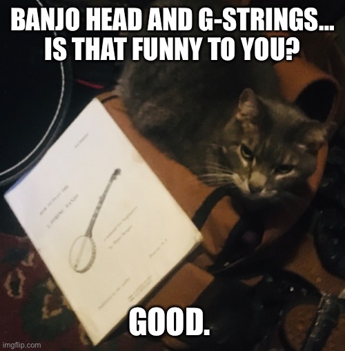 Banjo Head | BANJO HEAD AND G-STRINGS… IS THAT FUNNY TO YOU? GOOD. | image tagged in banjo | made w/ Imgflip meme maker