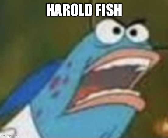 Sjje | HAROLD FISH | image tagged in harold fish | made w/ Imgflip meme maker
