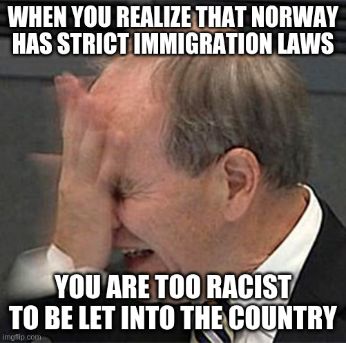 facepalm | WHEN YOU REALIZE THAT NORWAY HAS STRICT IMMIGRATION LAWS YOU ARE TOO RACIST TO BE LET INTO THE COUNTRY | image tagged in facepalm | made w/ Imgflip meme maker