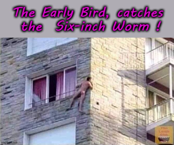 The Early Bird | The Early Bird, catches
 the  Six-inch Worm ! | image tagged in liar liar pants on fire | made w/ Imgflip meme maker