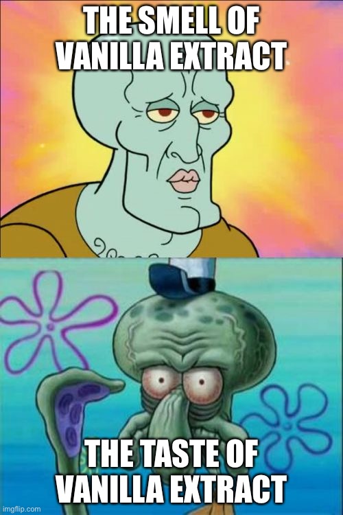 Squidward Meme | THE SMELL OF VANILLA EXTRACT; THE TASTE OF VANILLA EXTRACT | image tagged in memes,squidward | made w/ Imgflip meme maker