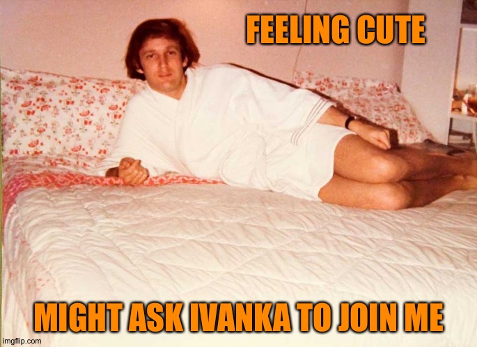 feeling cute | FEELING CUTE; MIGHT ASK IVANKA TO JOIN ME | image tagged in trump bed | made w/ Imgflip meme maker