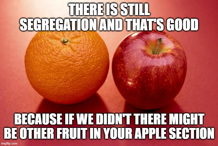 This is segregation and that's okay | THERE IS STILL SEGREGATION AND THAT'S GOOD; BECAUSE IF WE DIDN'T THERE MIGHT BE OTHER FRUIT IN YOUR APPLE SECTION | image tagged in apples and oranges,segregation,the wise shall rise | made w/ Imgflip meme maker