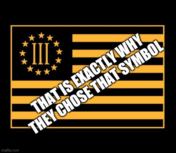 3 percenter | THAT IS EXACTLY WHY THEY CHOSE THAT SYMBOL | image tagged in 3 percenter | made w/ Imgflip meme maker