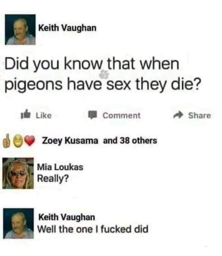 Pigeon sex Blank Meme Template