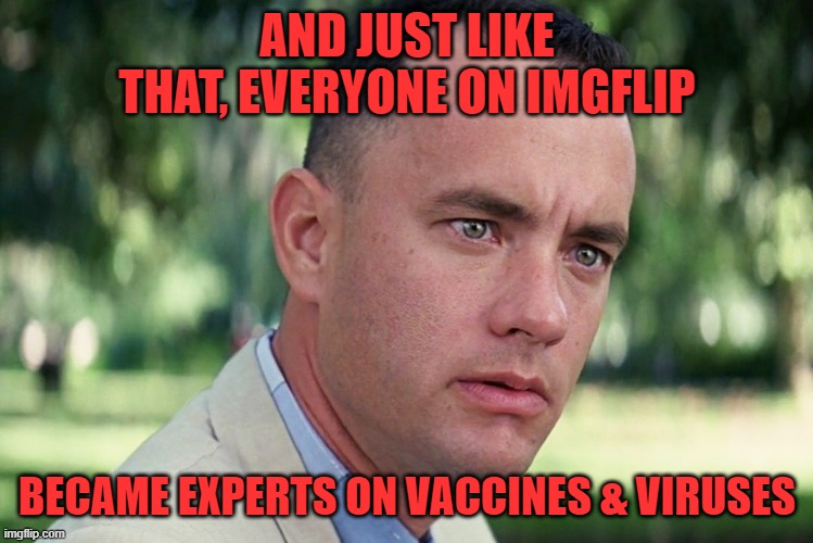 And Just Like That Meme | AND JUST LIKE THAT, EVERYONE ON IMGFLIP BECAME EXPERTS ON VACCINES & VIRUSES | image tagged in memes,and just like that | made w/ Imgflip meme maker