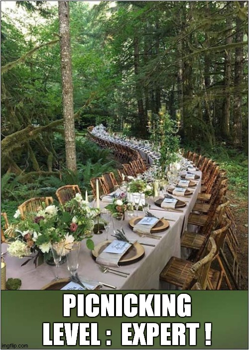 If You're Going To Do It, Then Do It Properly ! | PICNICKING
LEVEL :  EXPERT ! | image tagged in picnic,level expert | made w/ Imgflip meme maker