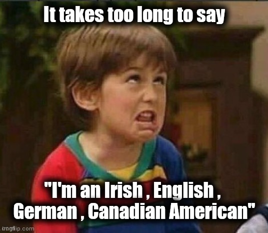 Sarcastic kid | It takes too long to say "I'm an Irish , English , 
German , Canadian American" | image tagged in sarcastic kid | made w/ Imgflip meme maker