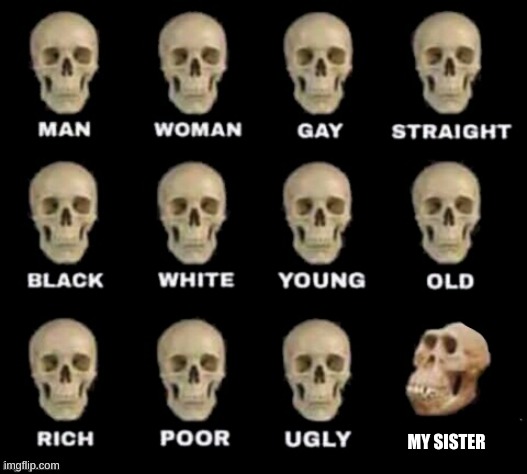 idiot skull | MY SISTER | image tagged in idiot skull | made w/ Imgflip meme maker