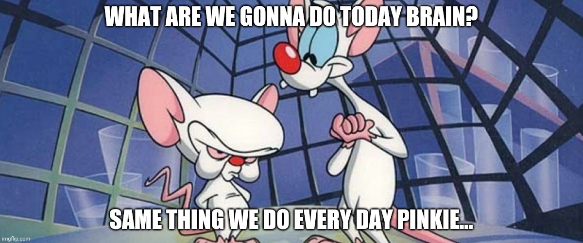 WHAT ARE WE GONNA DO TODAY BRAIN? SAME THING WE DO EVERY DAY PINKIE... | made w/ Imgflip meme maker