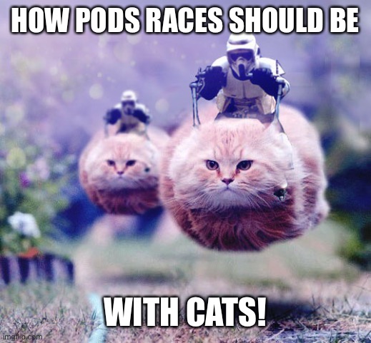 Scout Trooper 74-Z Catspeeder | HOW PODS RACES SHOULD BE; WITH CATS! | image tagged in scout trooper 74-z catspeeder | made w/ Imgflip meme maker