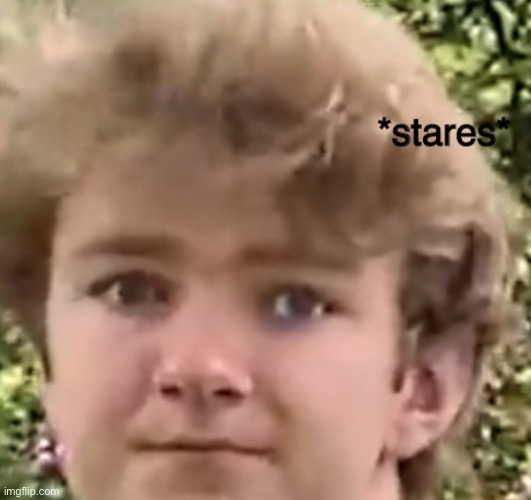stares | image tagged in stares | made w/ Imgflip meme maker