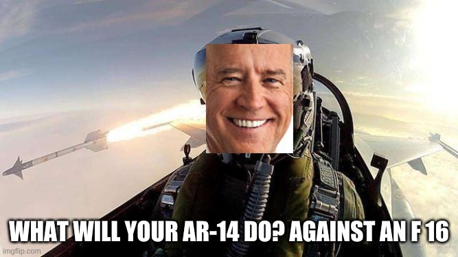 Fighter pilot missile danish f-16 | WHAT WILL YOUR AR-14 DO? AGAINST AN F 16 | image tagged in fighter pilot missile danish f-16 | made w/ Imgflip meme maker