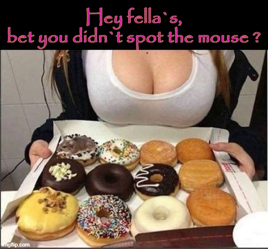Spot the Mouse ! | Hey fella`s,
bet you didn`t spot the mouse ? | image tagged in donuts | made w/ Imgflip meme maker