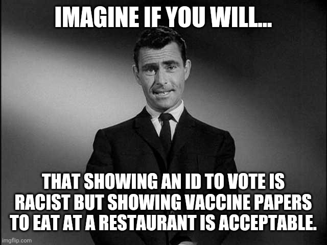 Liberal logic. | IMAGINE IF YOU WILL... THAT SHOWING AN ID TO VOTE IS RACIST BUT SHOWING VACCINE PAPERS TO EAT AT A RESTAURANT IS ACCEPTABLE. | image tagged in memes | made w/ Imgflip meme maker