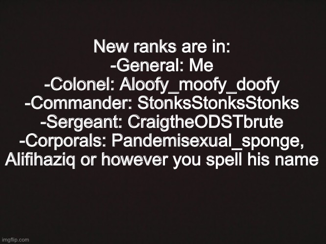 Blank Template | New ranks are in:
-General: Me
-Colonel: Aloofy_moofy_doofy
-Commander: StonksStonksStonks
-Sergeant: CraigtheODSTbrute
-Corporals: Pandemisexual_sponge, Alifihaziq or however you spell his name | image tagged in blank template | made w/ Imgflip meme maker