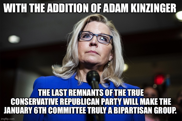 Liz Cheney | WITH THE ADDITION OF ADAM KINZINGER; THE LAST REMNANTS OF THE TRUE CONSERVATIVE REPUBLICAN PARTY WILL MAKE THE JANUARY 6TH COMMITTEE TRULY A BIPARTISAN GROUP. | image tagged in liz cheney | made w/ Imgflip meme maker