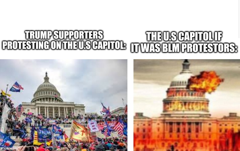 Jan 6 | THE U.S CAPITOL IF IT WAS BLM PROTESTORS:; TRUMP SUPPORTERS PROTESTING ON THE U.S CAPITOL: | image tagged in politics,conservatives,liberals,leftists,capitol hill,blm | made w/ Imgflip meme maker