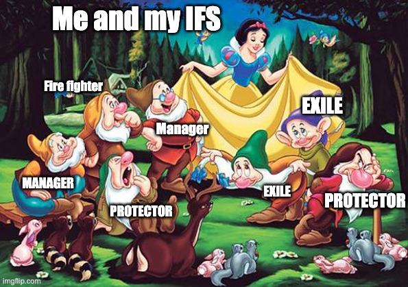 Internal Family Systems | Me and my IFS; Fire fighter; EXILE; Manager; PROTECTOR; MANAGER; EXILE; PROTECTOR | image tagged in so i got that goin for me which is nice | made w/ Imgflip meme maker