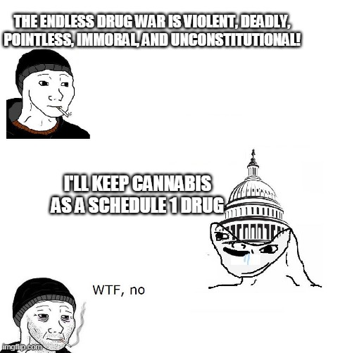 Legalize weed | THE ENDLESS DRUG WAR IS VIOLENT, DEADLY, POINTLESS, IMMORAL, AND UNCONSTITUTIONAL! I'LL KEEP CANNABIS AS A SCHEDULE 1 DRUG | image tagged in government is stupid,marijuana,drug war | made w/ Imgflip meme maker