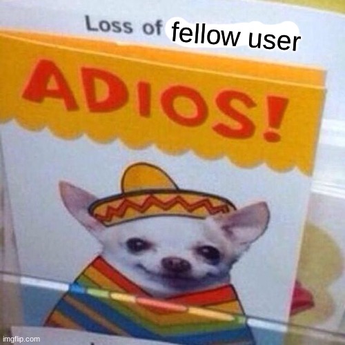 chihuahua adios | fellow user | image tagged in chihuahua adios | made w/ Imgflip meme maker