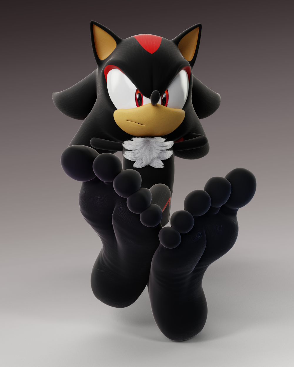 Shadow the hedgehog feet Blank Meme Template