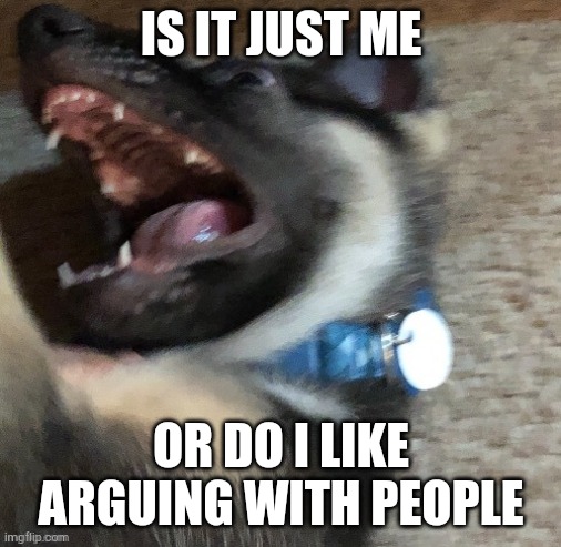 angy doggo | IS IT JUST ME; OR DO I LIKE ARGUING WITH PEOPLE | image tagged in angy doggo | made w/ Imgflip meme maker