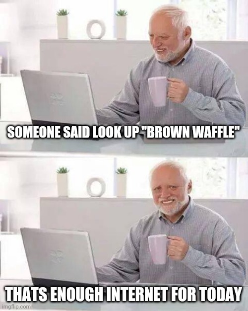 brown waffle | SOMEONE SAID LOOK UP "BROWN WAFFLE"; THATS ENOUGH INTERNET FOR TODAY | image tagged in memes,hide the pain harold,brown,shift confirmed,ass,party | made w/ Imgflip meme maker