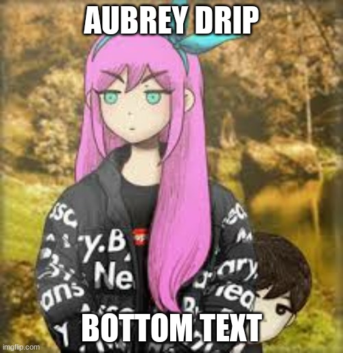 Aubrey drip | AUBREY DRIP; BOTTOM TEXT | image tagged in aubrey drip | made w/ Imgflip meme maker