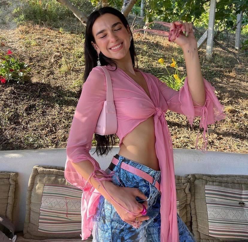 Dua Lipa pink Blank Meme Template