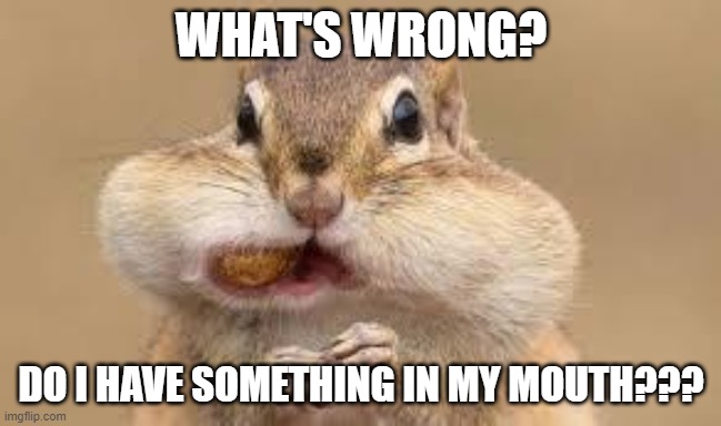 Chipmunk | WHAT'S WRONG? DO I HAVE SOMETHING IN MY MOUTH??? | image tagged in chipmunk | made w/ Imgflip meme maker