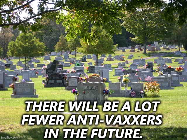 There, that'll show the government who's boss. | THERE WILL BE A LOT 
FEWER ANTI-VAXXERS 
IN THE FUTURE. | image tagged in cemetery,anti vax,stupid,dead,soon | made w/ Imgflip meme maker