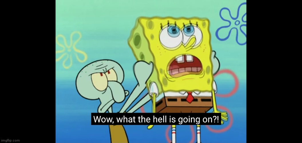 What the hell is going on | image tagged in what the hell is going on | made w/ Imgflip meme maker