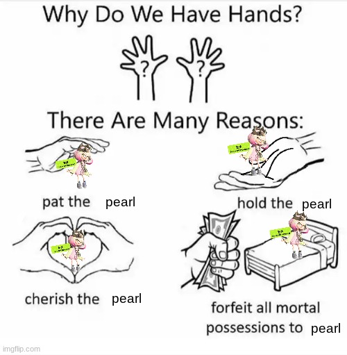 this meme was made by Bearl gang | pearl; pearl; pearl; pearl | image tagged in why do we have hands all blank,pearl,splatoon,splatoon 2,splatoon 3 | made w/ Imgflip meme maker