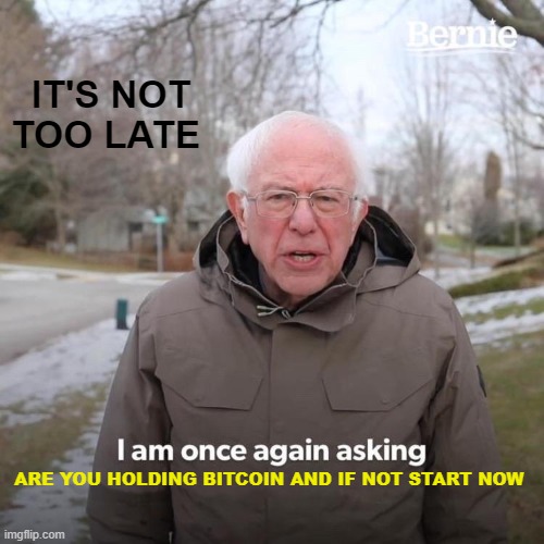 Bernie I Am Once Again Asking For Your Support | IT'S NOT TOO LATE; ARE YOU HOLDING BITCOIN AND IF NOT START NOW | image tagged in memes,bernie i am once again asking for your support | made w/ Imgflip meme maker